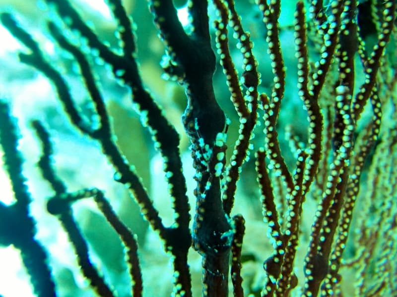 P6221970_800x600 P6221970_800x600