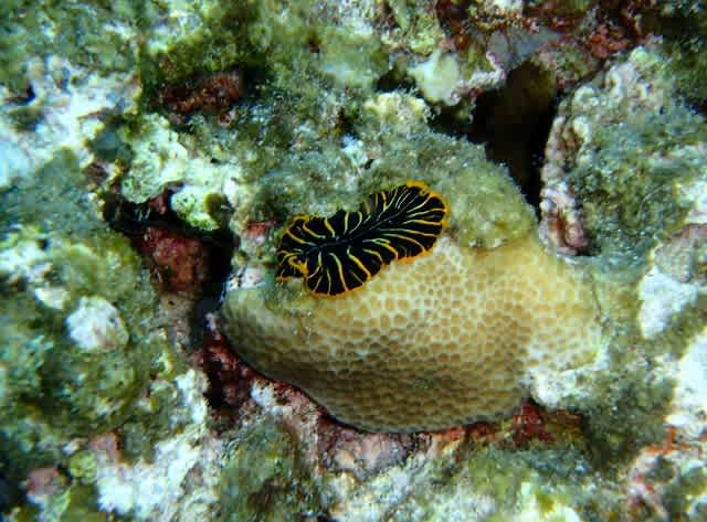 P4190018_640x473 P4190018_640x473