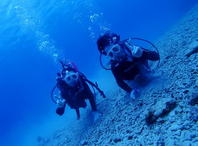 P9080020_640x473 P9080020_640x473