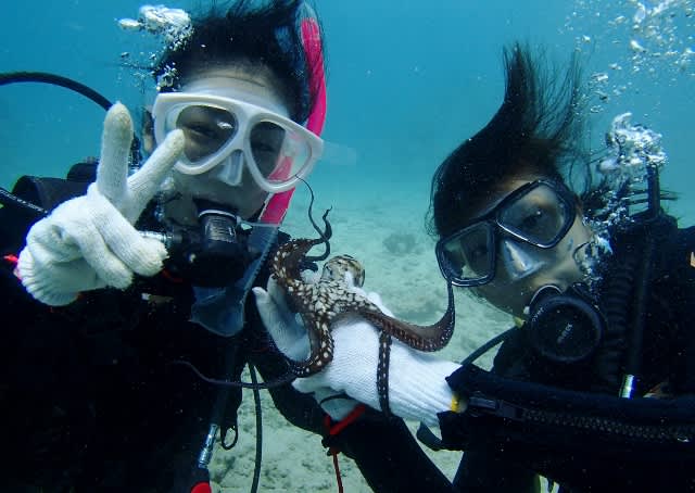 P9240045_640x454 P9240045_640x454