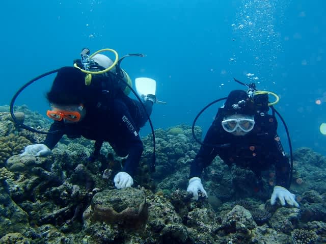 P4070085_640x479 P4070085_640x479