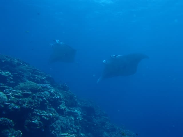 P5280029_640x480 P5280029_640x480