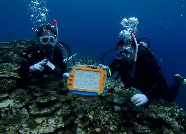 P8145269_640x462 P8145269_640x462